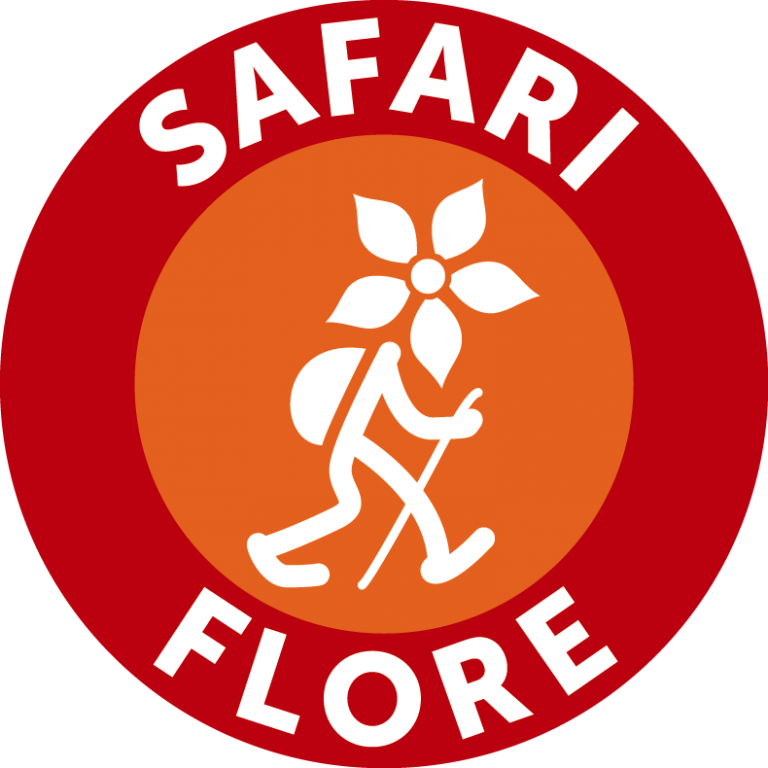 Logo Safari Flore