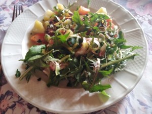 mesclun de salades sauvages